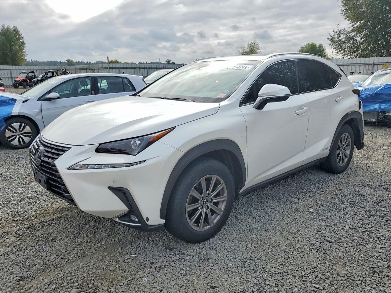 LEXUS NX