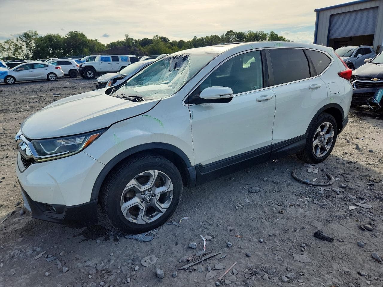 HONDA CRV