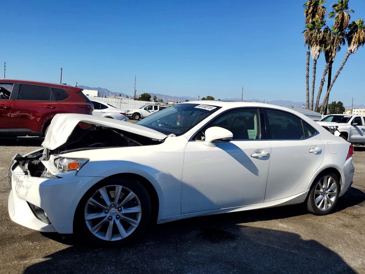 LEXUS IS