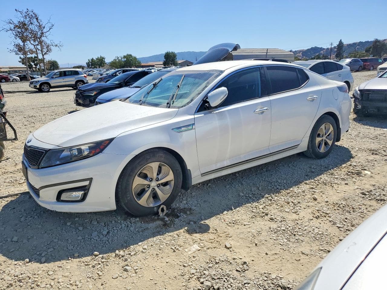 KIA OPTIMA