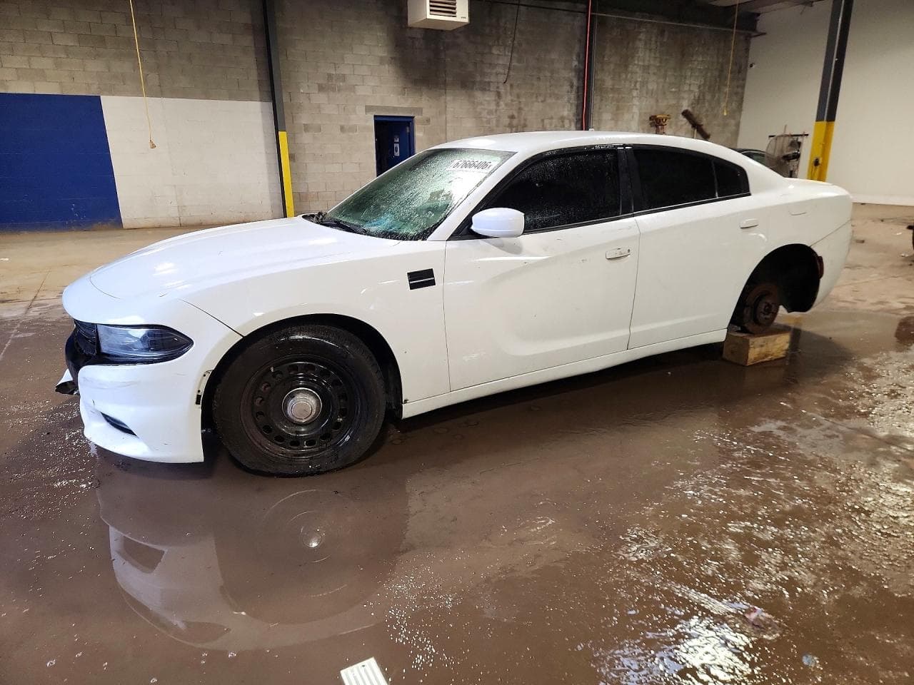 DODGE CHARGER