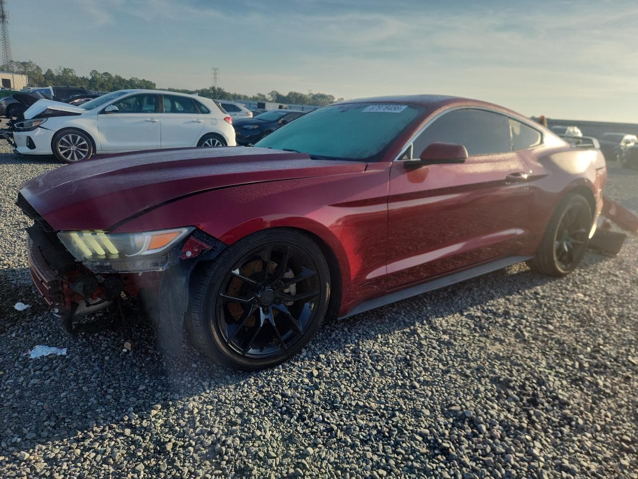 FORD MUSTANG