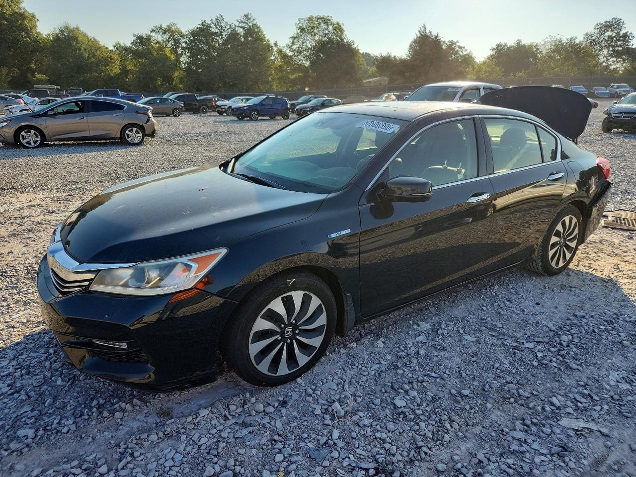 HONDA ACCORD