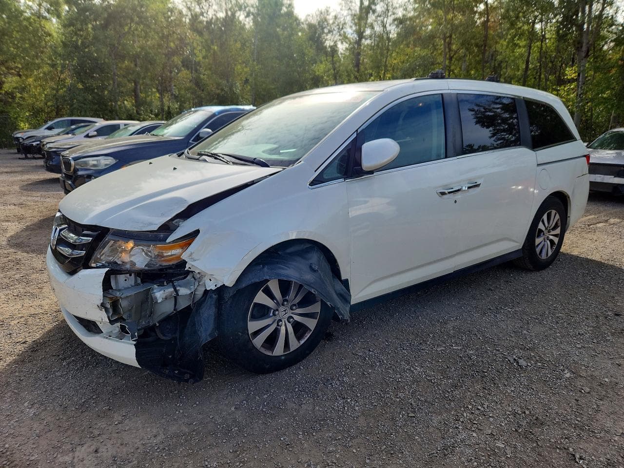 HONDA ODYSSEY