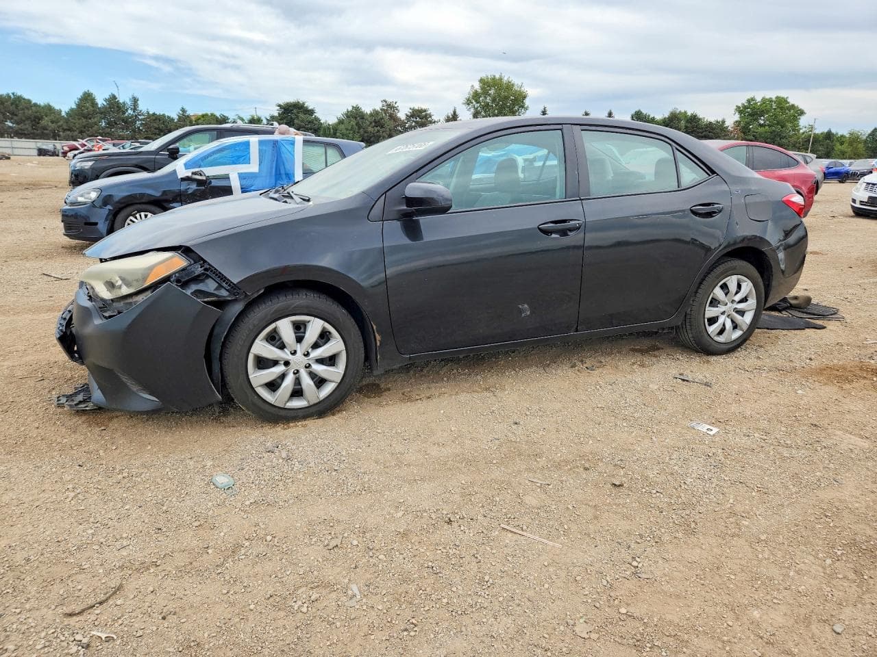 TOYOTA COROLLA