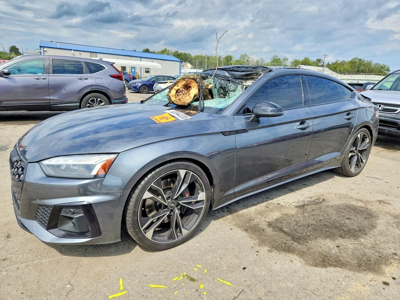 2022 AUDI S5/RS5