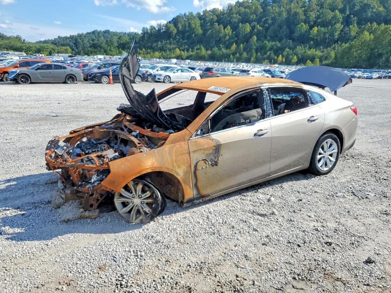 CHEVROLET MALIBU