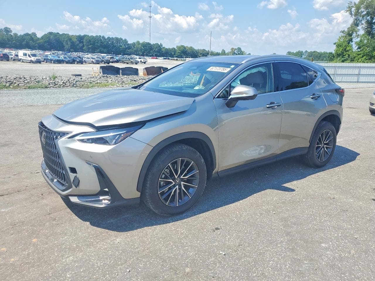 LEXUS NX