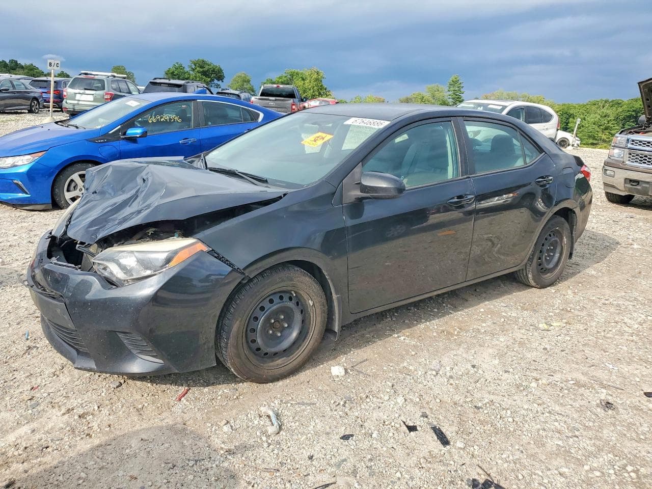 TOYOTA COROLLA