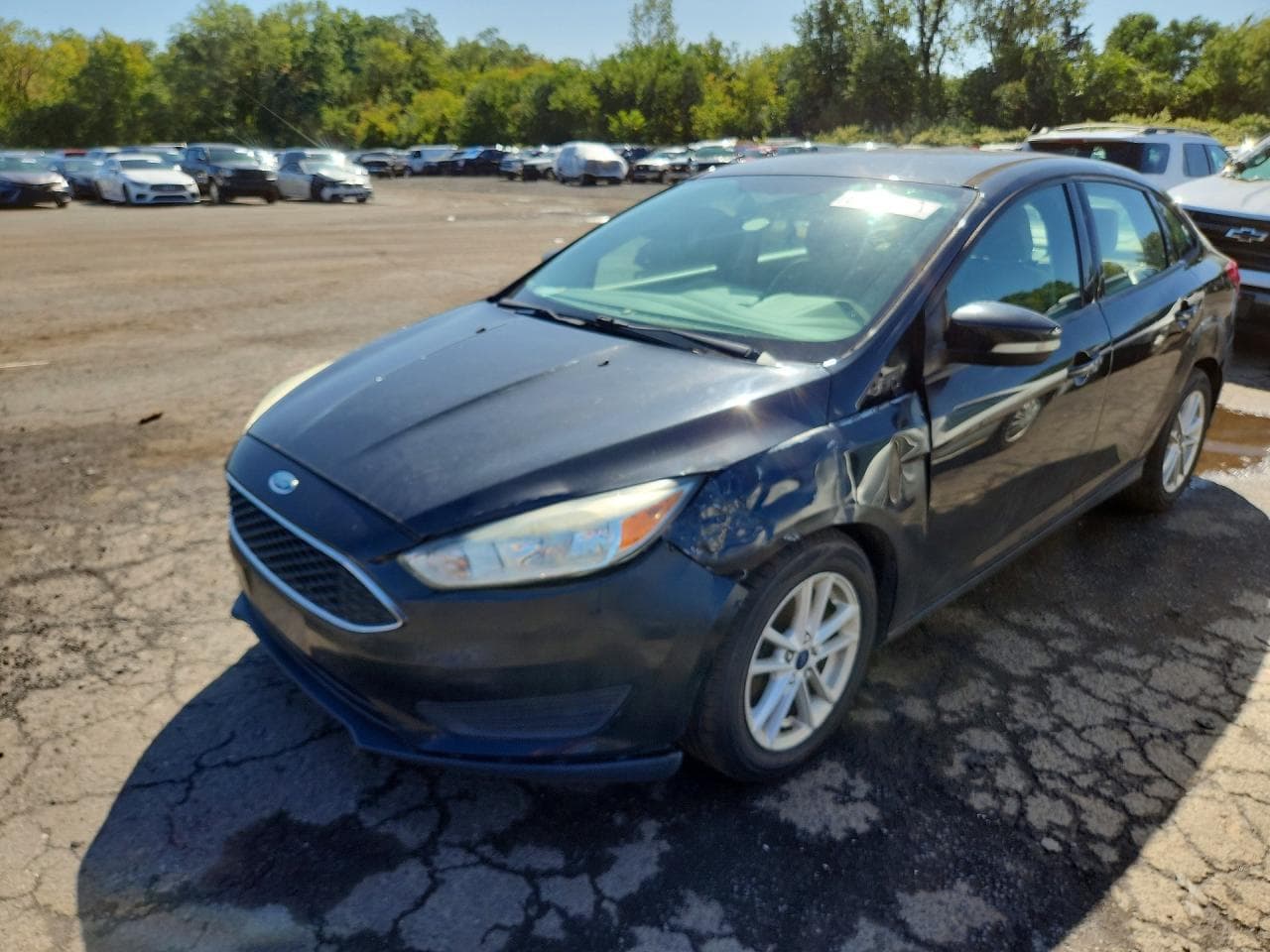 2015 FORD FOCUS