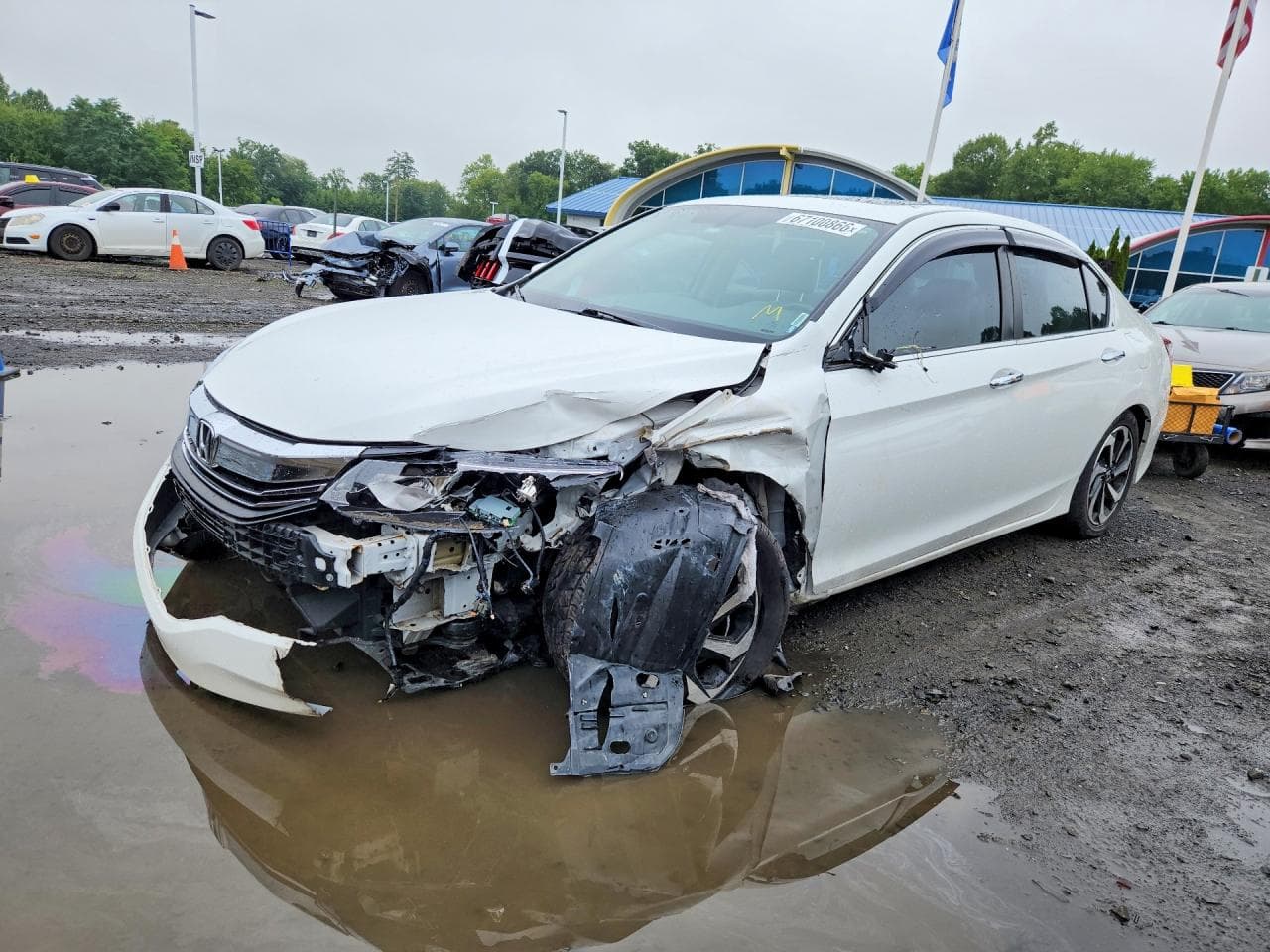 HONDA ACCORD