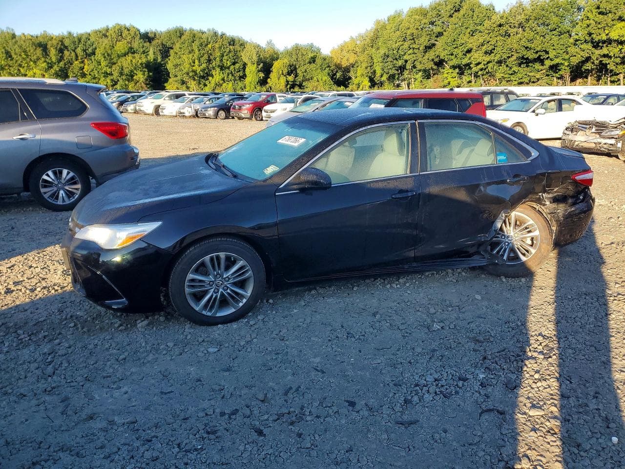 TOYOTA CAMRY