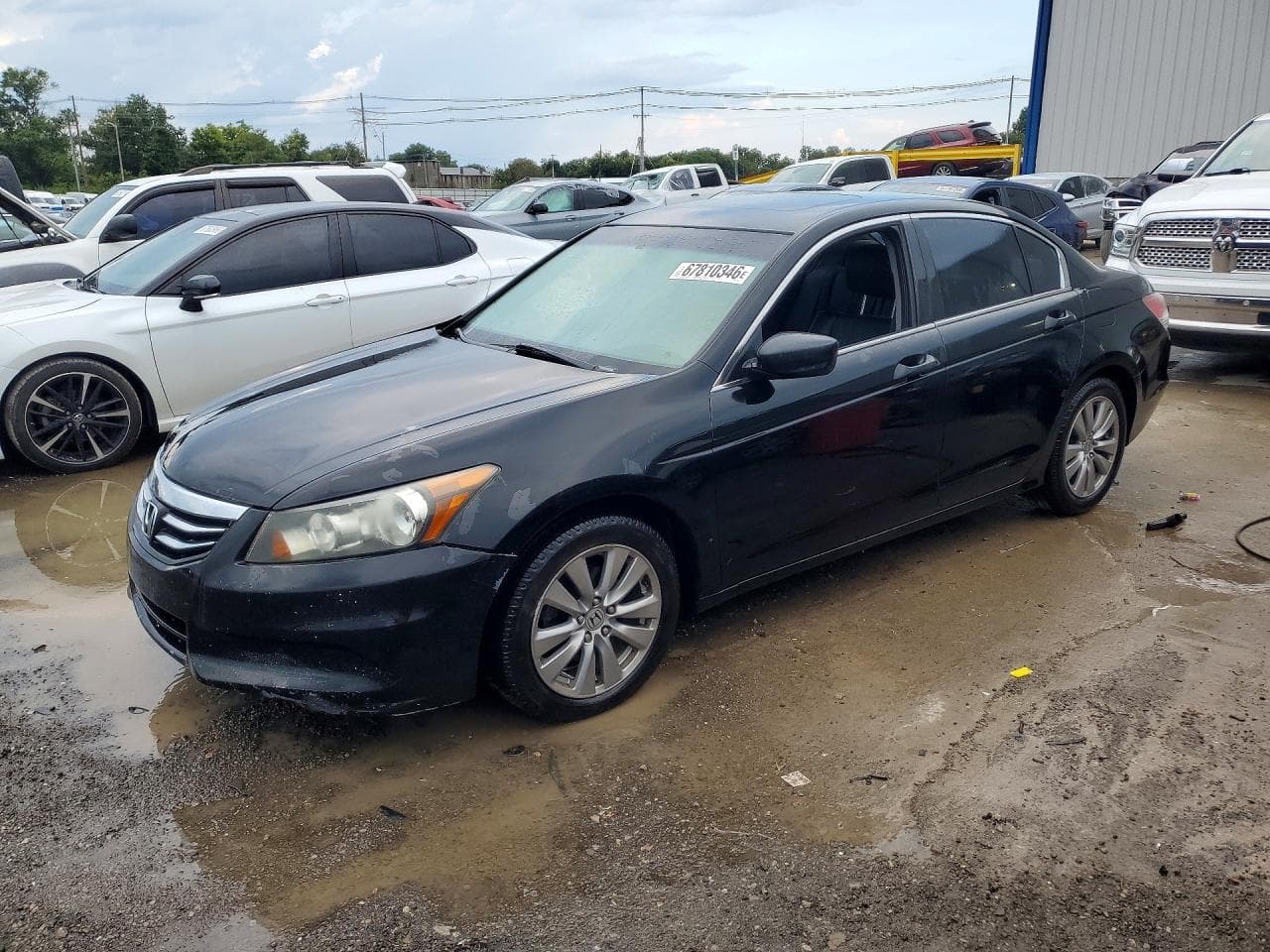 HONDA ACCORD