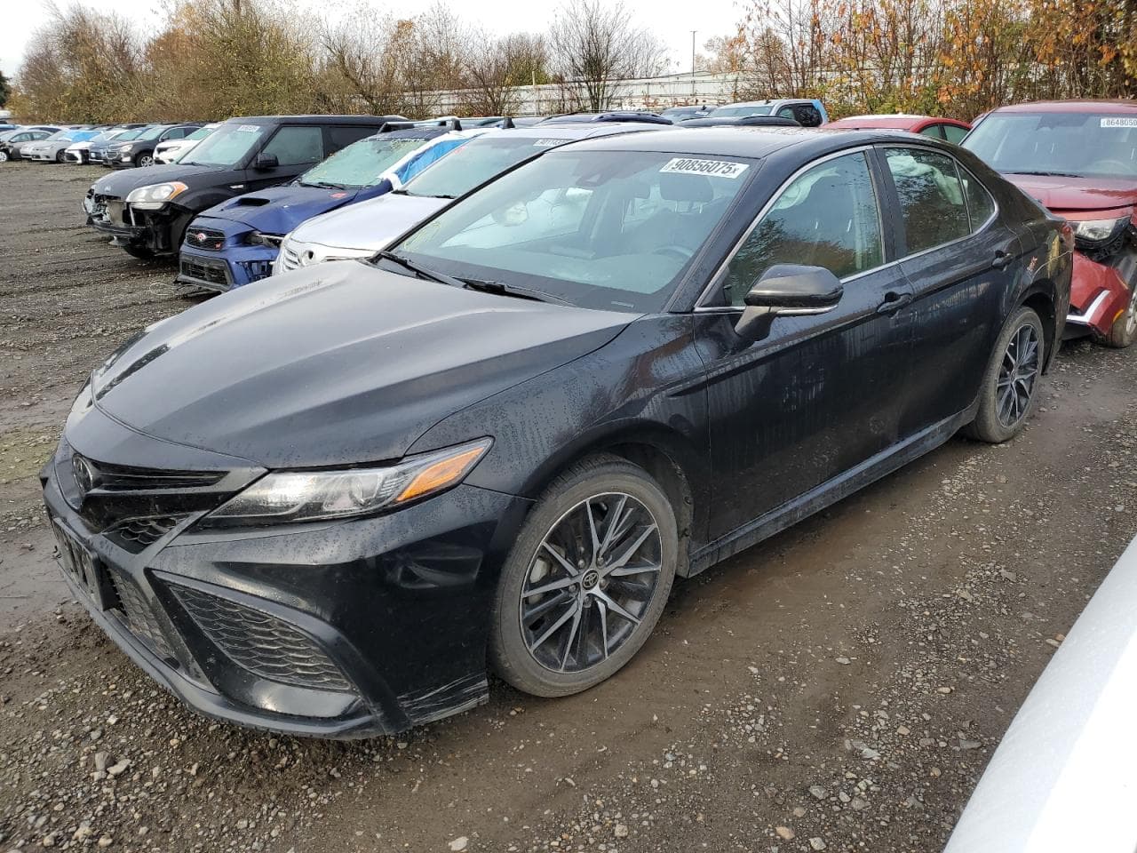 TOYOTA CAMRY