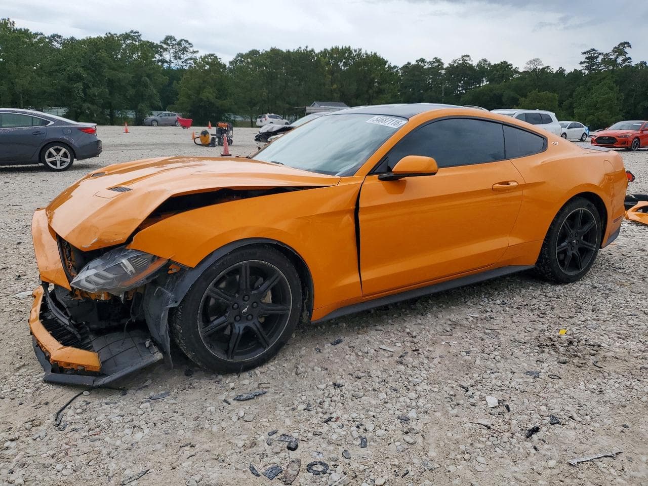 2019 FORD MUSTANG