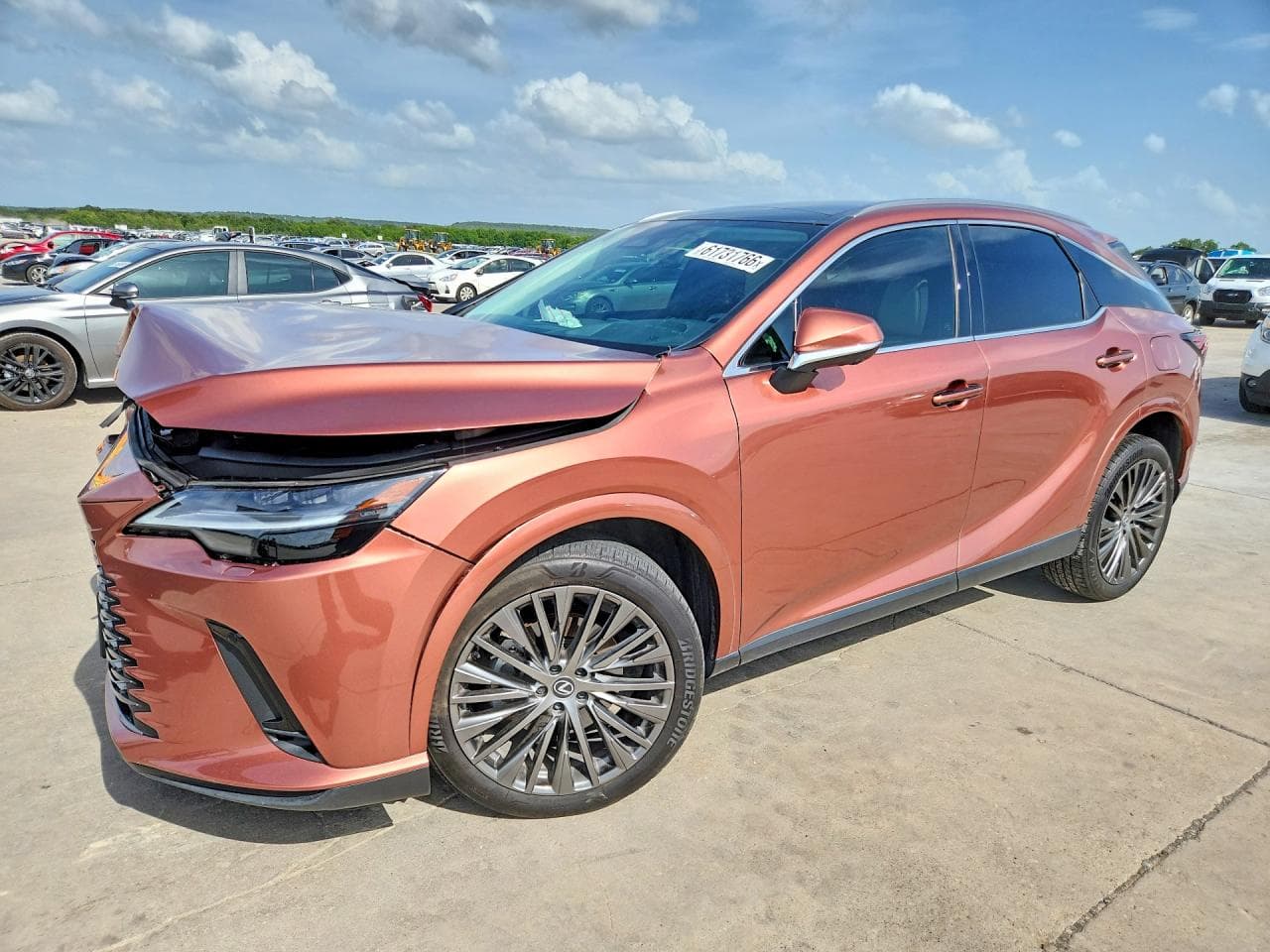 2024 LEXUS RX300