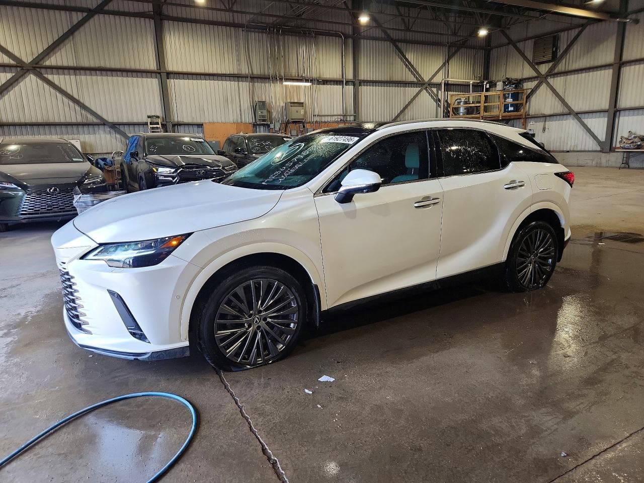 2023 LEXUS RX300
