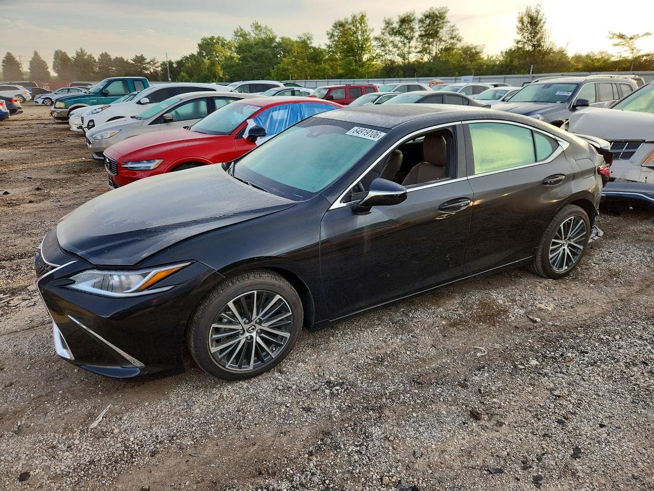 2024 LEXUS ES250