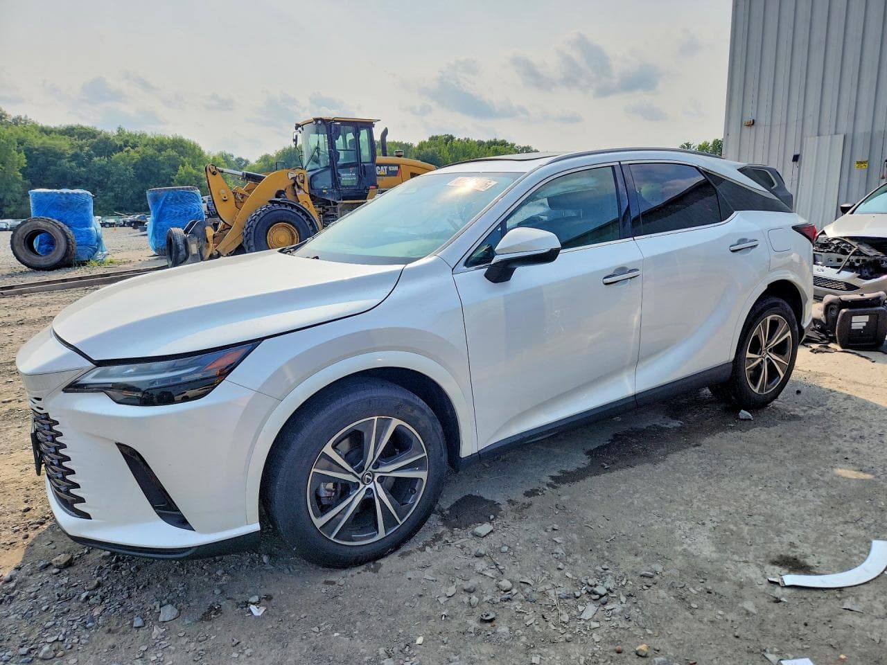 2024 LEXUS RX300