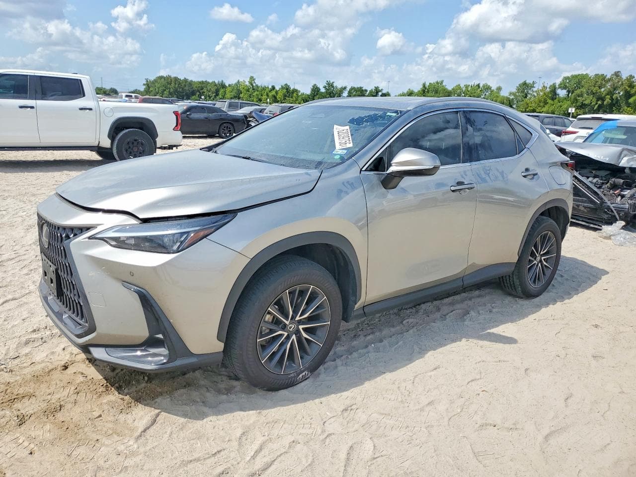 2024 LEXUS NX