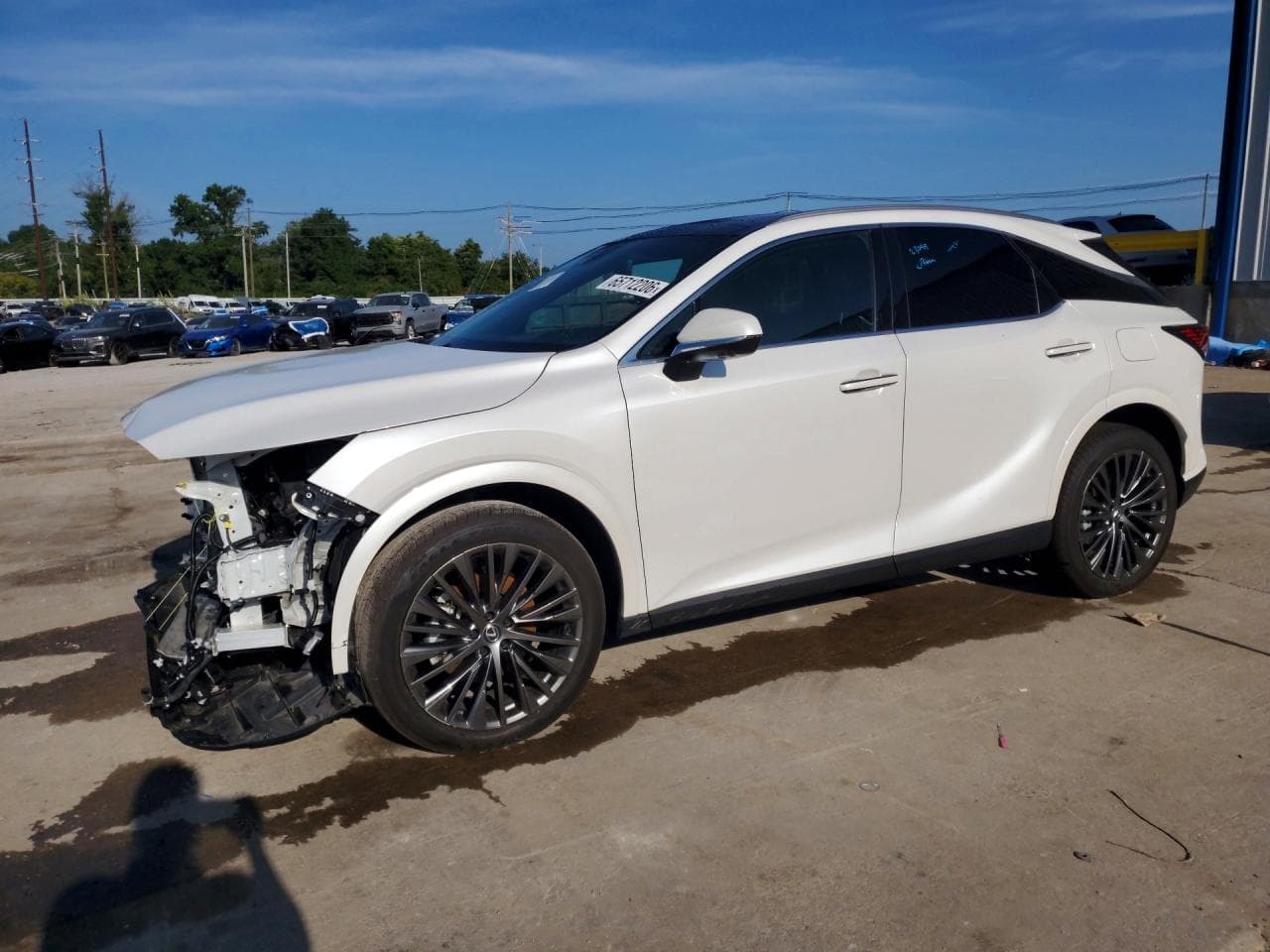 2025 LEXUS RX300