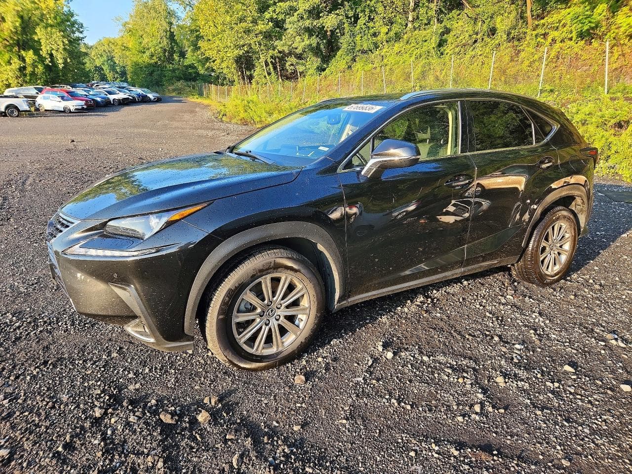 2020 LEXUS NX